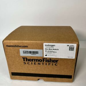 NEW- Mini Blot Module, Therme fisher
