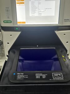 Bio-Rad ChemiDoc MP Gel & Blot Imaging System - photo 6