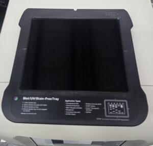 Bio-Rad ChemiDoc MP Gel & Blot Imaging System - photo 10